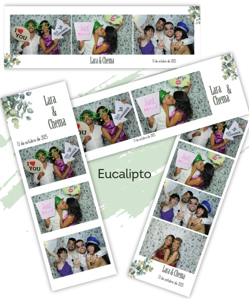 Plantilla Tira Eucalipto