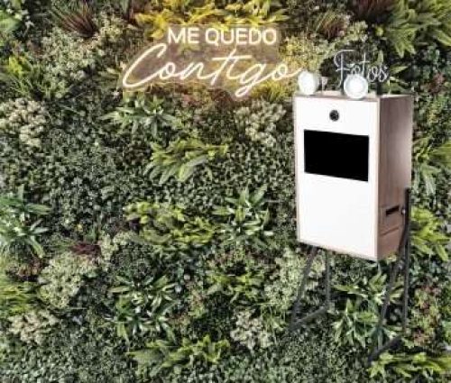 Photocall Jardín Vertical Con Neón